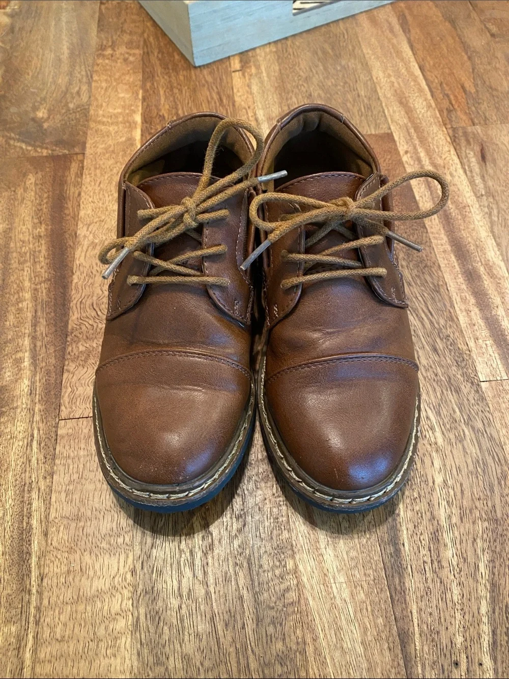 Steve Madden Kids Brown Leather Lace-Up Dress Shoes